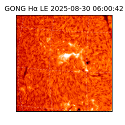 gong - 2025-08-30T06:00:42