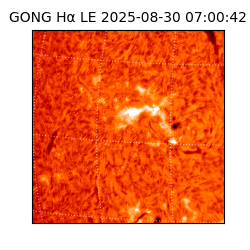 gong - 2025-08-30T07:00:42