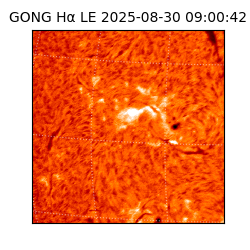 gong - 2025-08-30T09:00:42