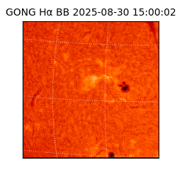 gong - 2025-08-30T15:00:02