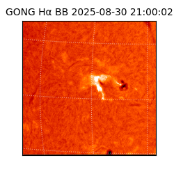 gong - 2025-08-30T21:00:02