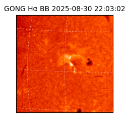 gong - 2025-08-30T22:03:02