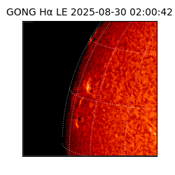 gong - 2025-08-30T02:00:42