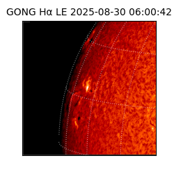gong - 2025-08-30T06:00:42