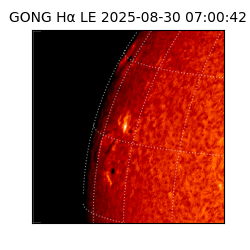 gong - 2025-08-30T07:00:42