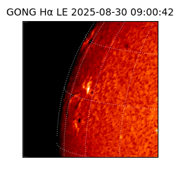 gong - 2025-08-30T09:00:42