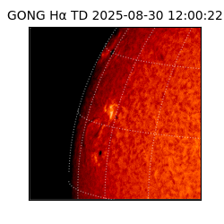 gong - 2025-08-30T12:00:22