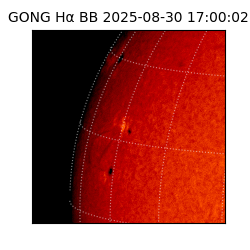 gong - 2025-08-30T17:00:02