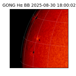 gong - 2025-08-30T18:00:02