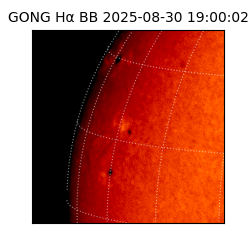 gong - 2025-08-30T19:00:02