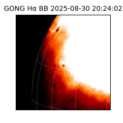 gong - 2025-08-30T20:24:02