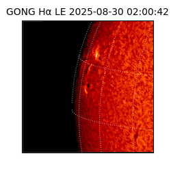 gong - 2025-08-30T02:00:42