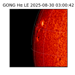 gong - 2025-08-30T03:00:42