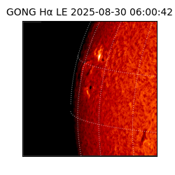 gong - 2025-08-30T06:00:42