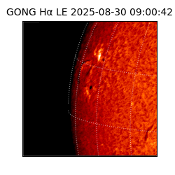gong - 2025-08-30T09:00:42