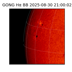gong - 2025-08-30T21:00:02