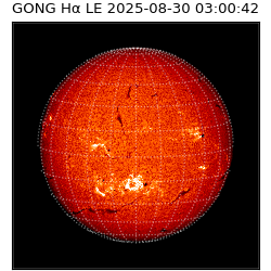 gong - 2025-08-30T03:00:42