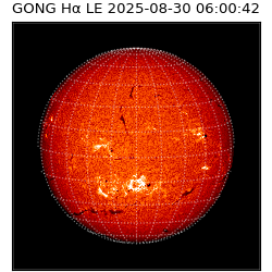 gong - 2025-08-30T06:00:42