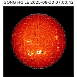 gong - 2025-08-30T07:00:42