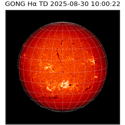 gong - 2025-08-30T10:00:22