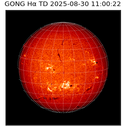 gong - 2025-08-30T11:00:22