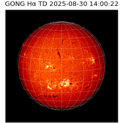 gong - 2025-08-30T14:00:22