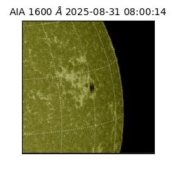 saia - 2025-08-31T08:00:14.134000