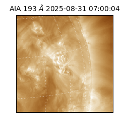saia - 2025-08-31T07:00:04.843000