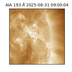 saia - 2025-08-31T09:00:04.842000