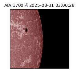 saia - 2025-08-31T03:00:28.717000