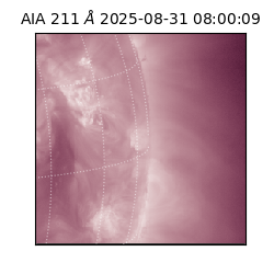 saia - 2025-08-31T08:00:09.631000
