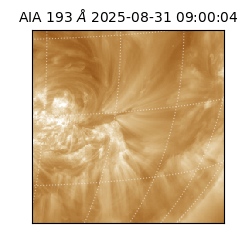 saia - 2025-08-31T09:00:04.842000