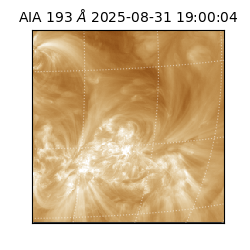 saia - 2025-08-31T19:00:04.843000