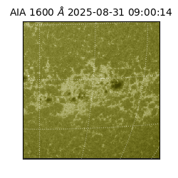 saia - 2025-08-31T09:00:14.134000