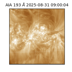 saia - 2025-08-31T09:00:04.842000