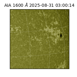 saia - 2025-08-31T03:00:14.125000