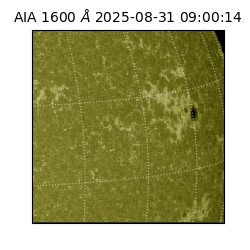 saia - 2025-08-31T09:00:14.134000