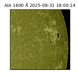 saia - 2025-08-31T18:00:14.132000