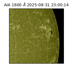 saia - 2025-08-31T23:00:14.125000