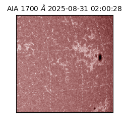 saia - 2025-08-31T02:00:28.717000