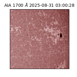 saia - 2025-08-31T03:00:28.717000