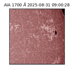 saia - 2025-08-31T09:00:28.717000