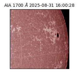 saia - 2025-08-31T16:00:28.717000