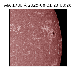 saia - 2025-08-31T23:00:28.718000