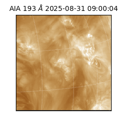 saia - 2025-08-31T09:00:04.842000