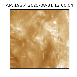 saia - 2025-08-31T12:00:04.843000