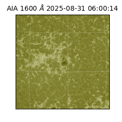 saia - 2025-08-31T06:00:14.132000