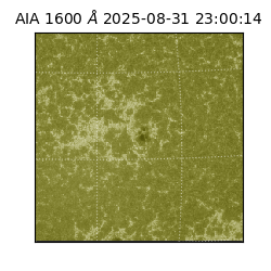 saia - 2025-08-31T23:00:14.125000