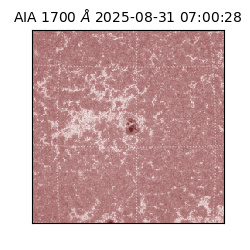 saia - 2025-08-31T07:00:28.718000