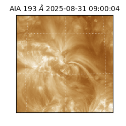 saia - 2025-08-31T09:00:04.842000